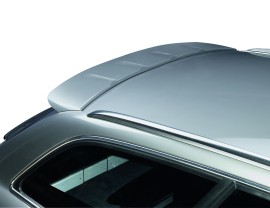 Audi A6 / S6 C6 / 4F SFX-Line Rear Wing
